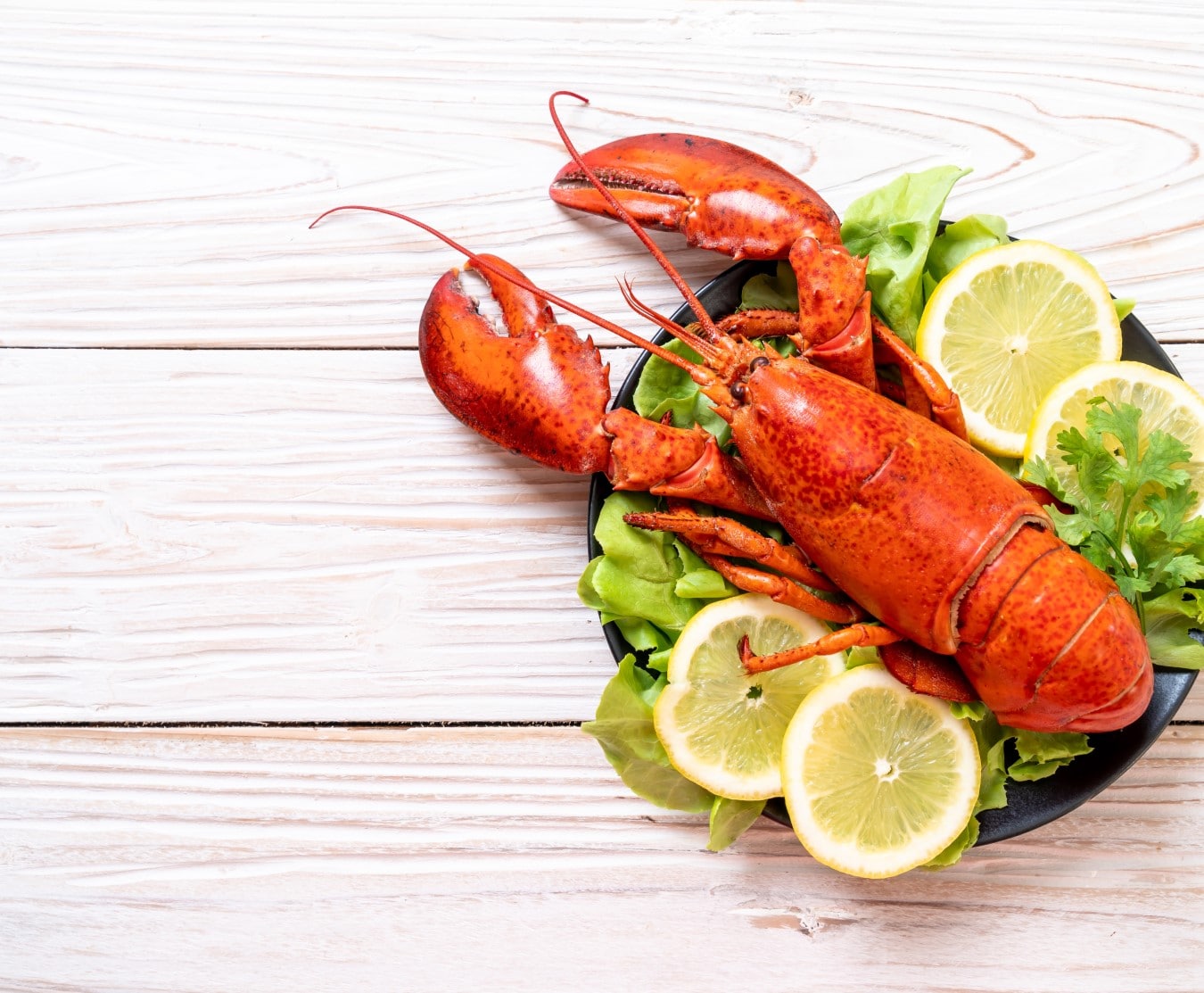 lobster cooked 500 550grams