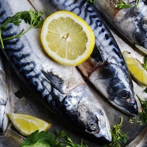 Mackerel Fillets 1KG. Mackerel with lemon