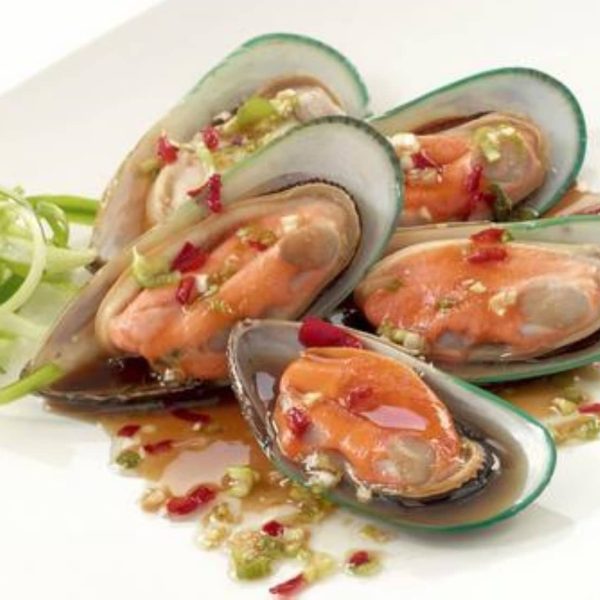 Mussel meat - New Zealand Mussels