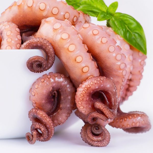 octopus tentacles 240 300g