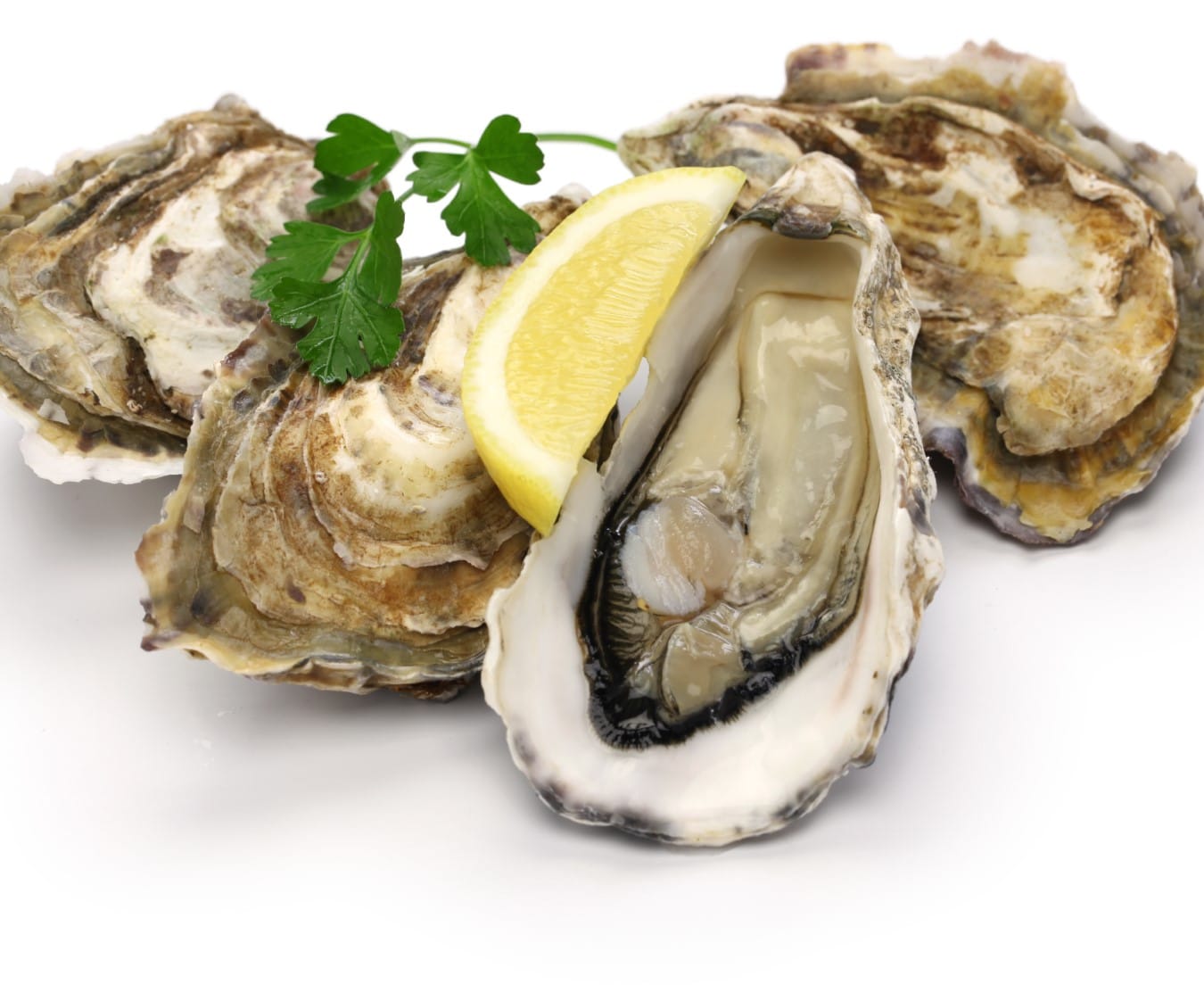 oyster meat 400g