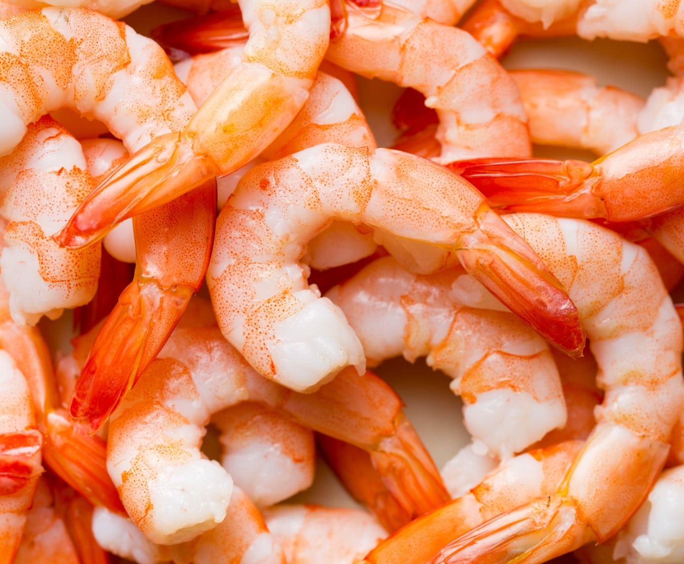prawns cpto 1kg