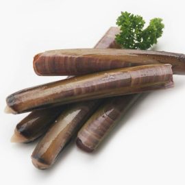 razor clams