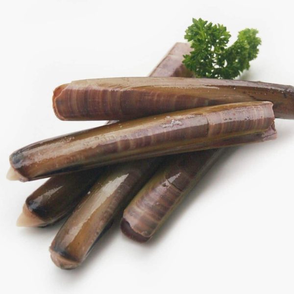 razor clams
