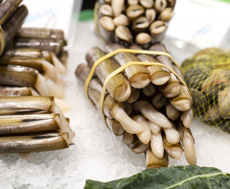Packaged Razor Clams Razor Clams 1kg - Frozen Fish Direct