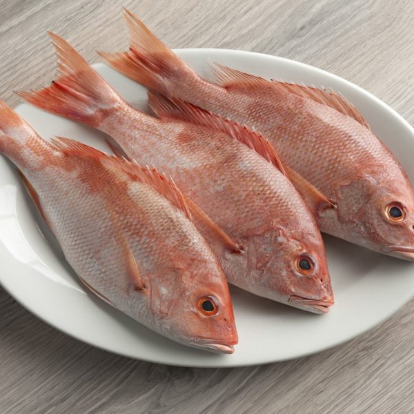 red snapper 350 500g