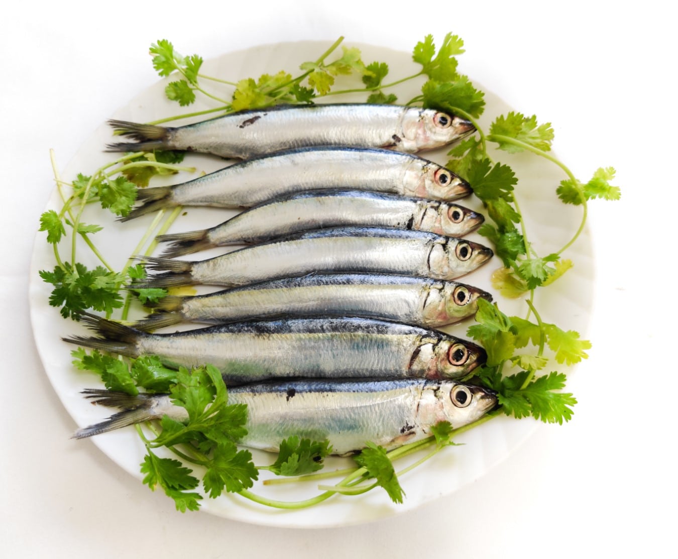 sardines 5 x 800g box
