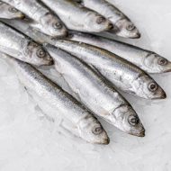 whole sardines