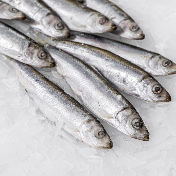 whole sardines