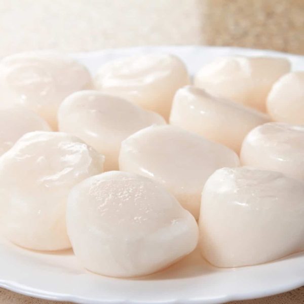 scallops hand dived king 1kg custom 1 1.jpg