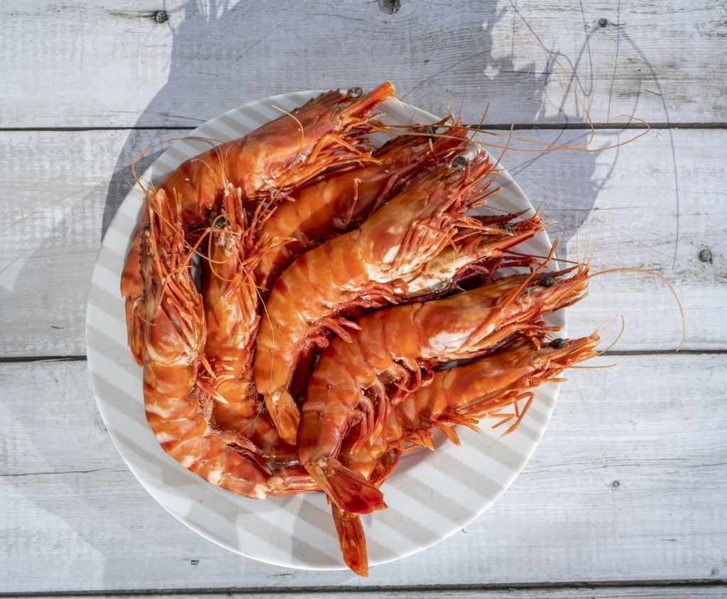 Prawn Fresh Shell Shell on Prawns 5kg - Frozen Fish Direct