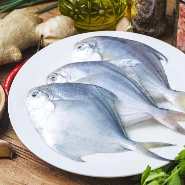 silver pomfret 400 500g each