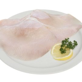skate wing 700 900g