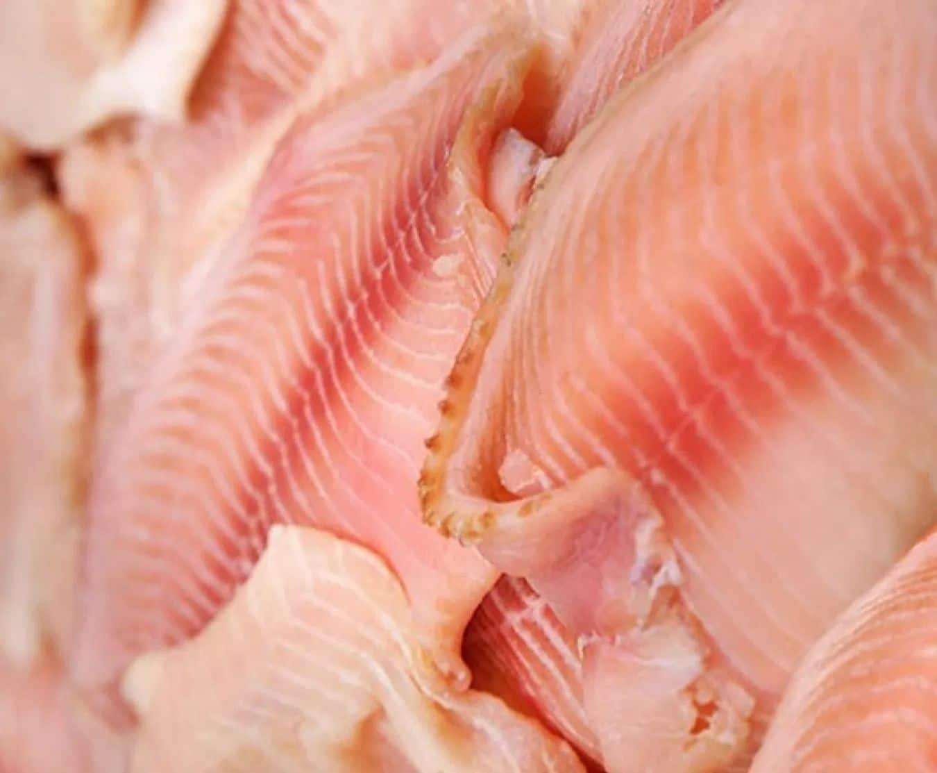 tilapia fillets 5 x 800g box