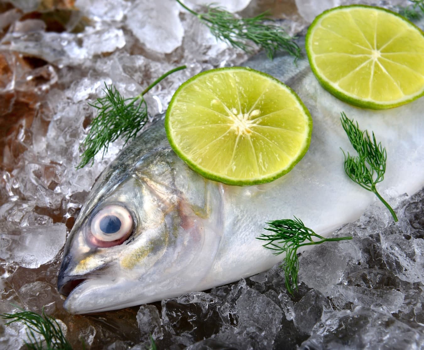 trevally 1200 1400g