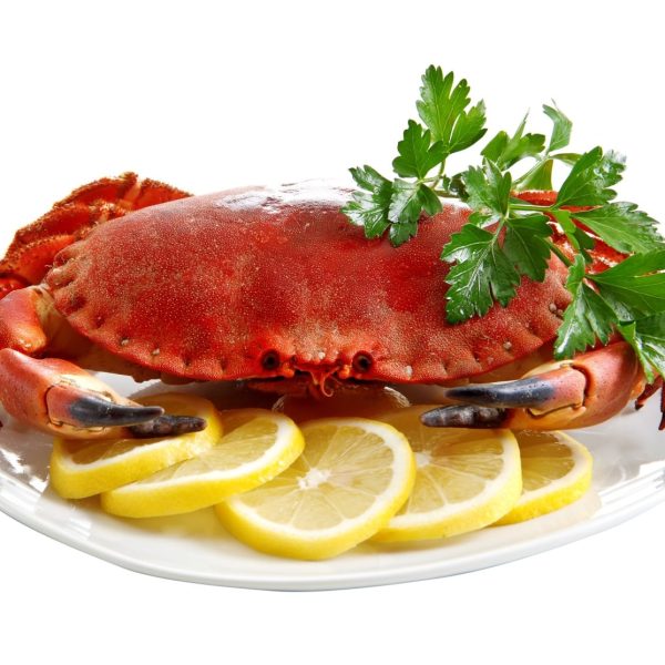 whole brown crab 600 800g 2 custom 1.jpg