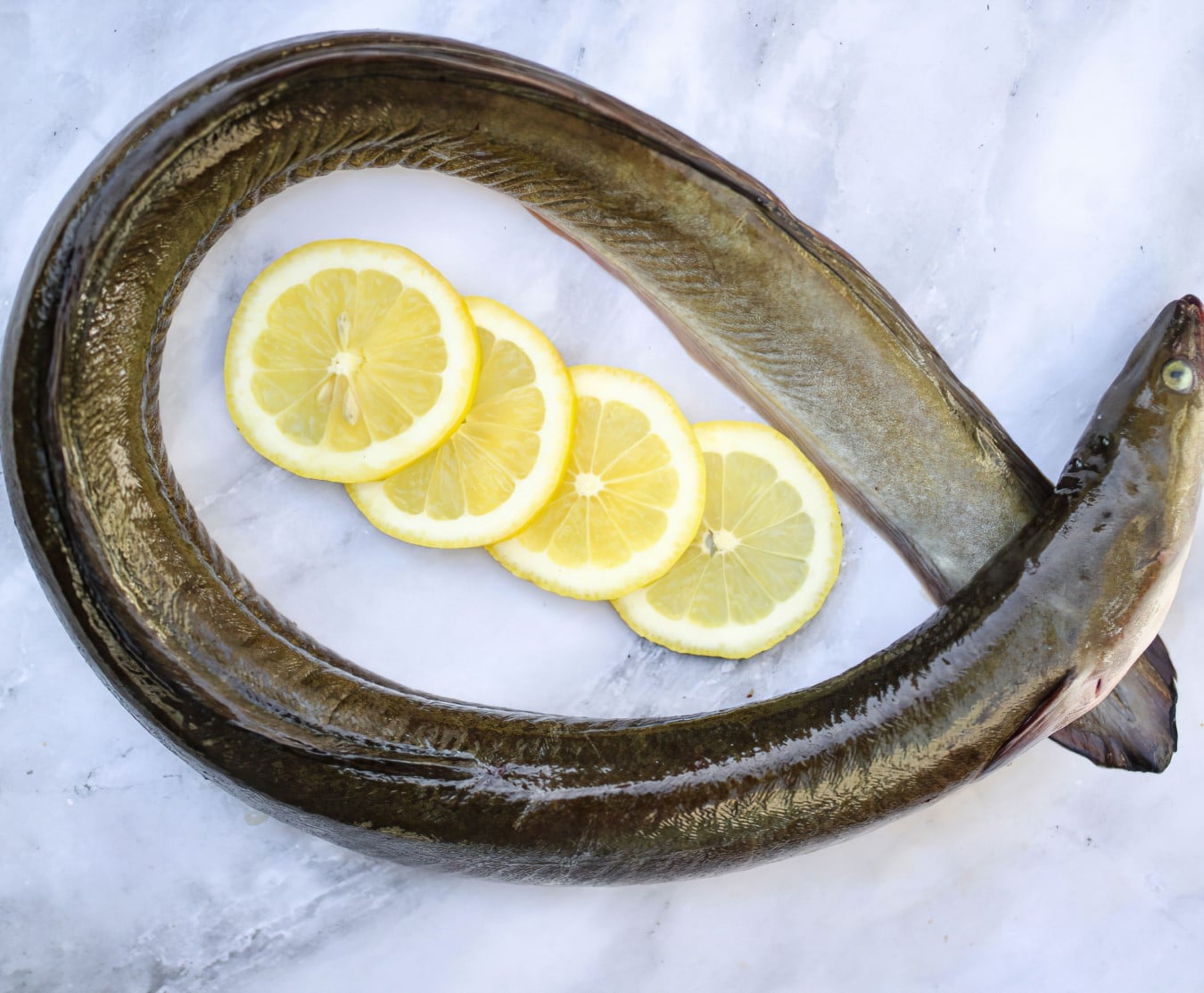 whole eel gutted 500 600g
