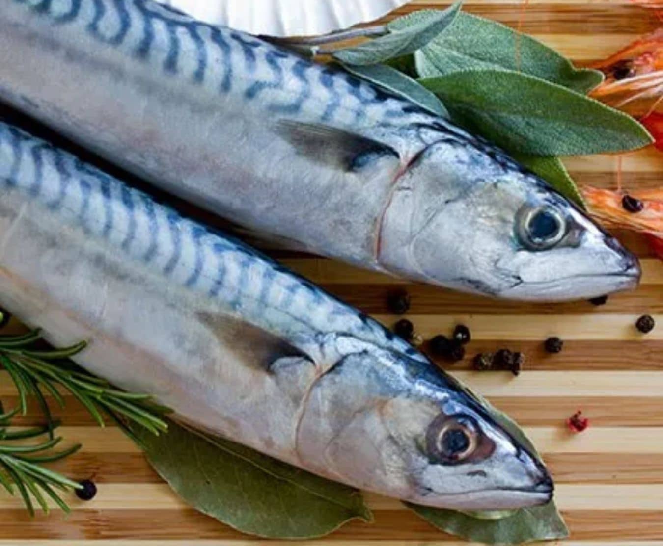 whole mackerel 2 extra large