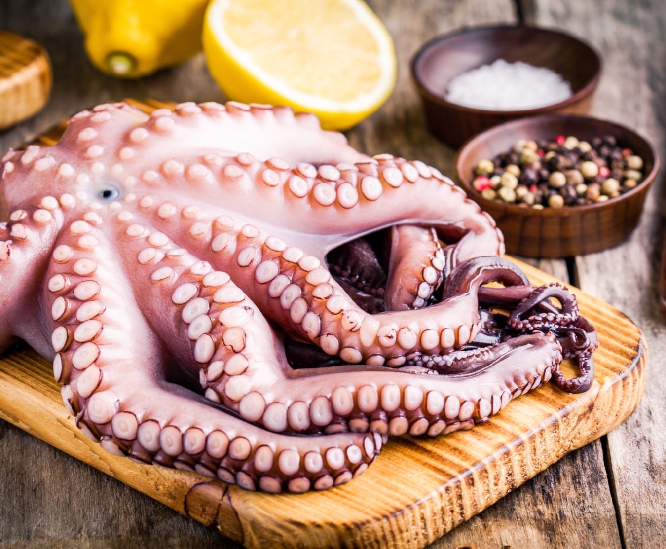 whole octopus 1.4/1.7kg