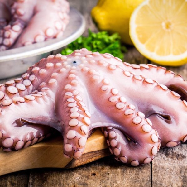 whole octopus 1.4/1.7kg