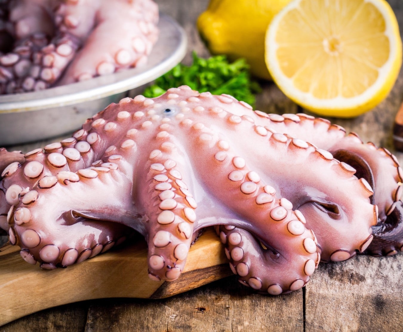 whole octopus 1.4/1.7kg