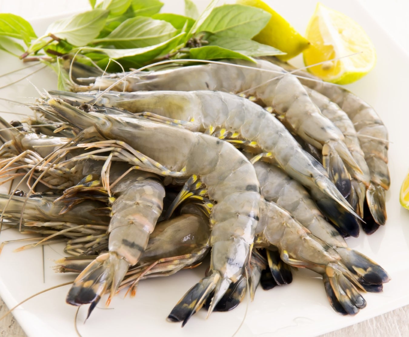 whole prawns 4/6 1kg