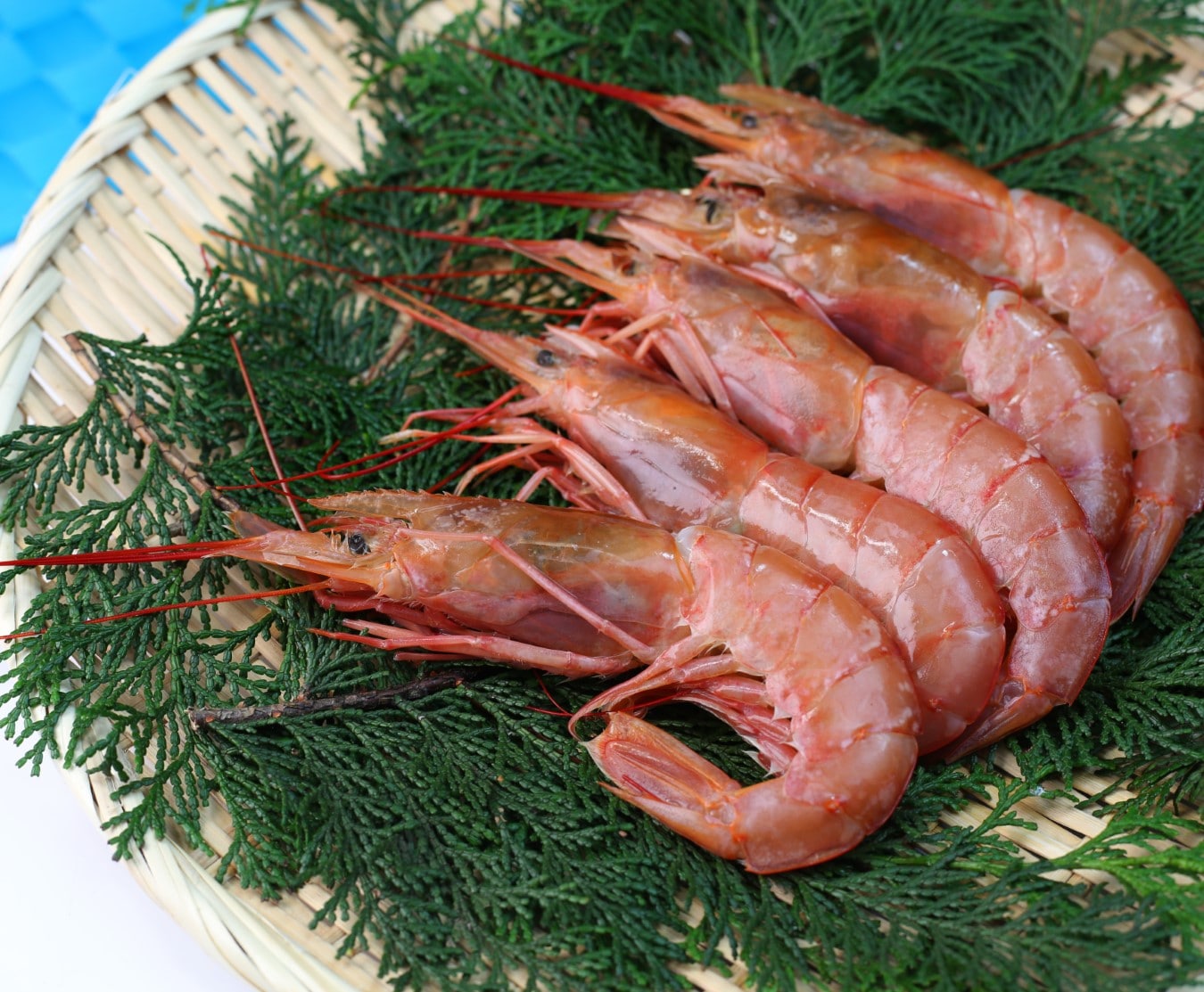 whole red prawns 2kg