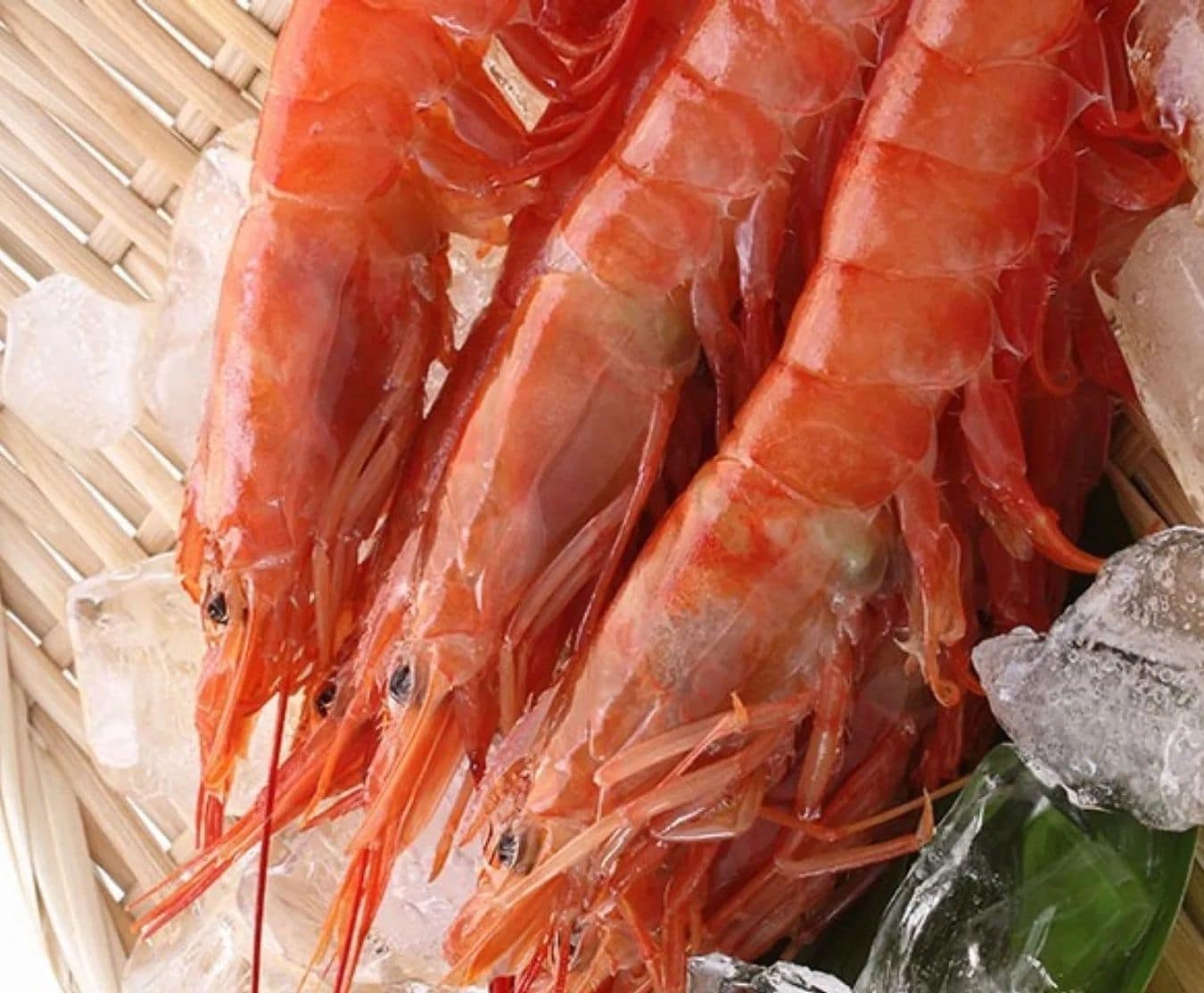 whole red prawns 2kg