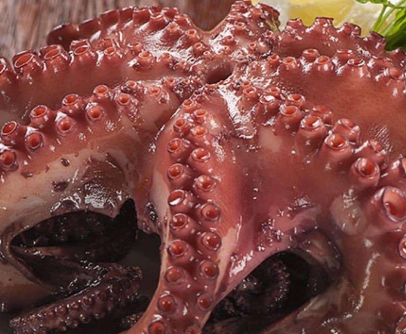 whole octopus 1.4/1.7kg