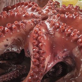 whole octopus 2 2.5 kg