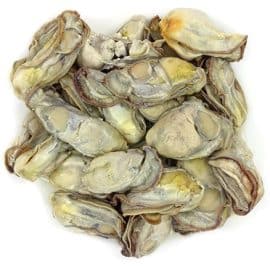 Oyster