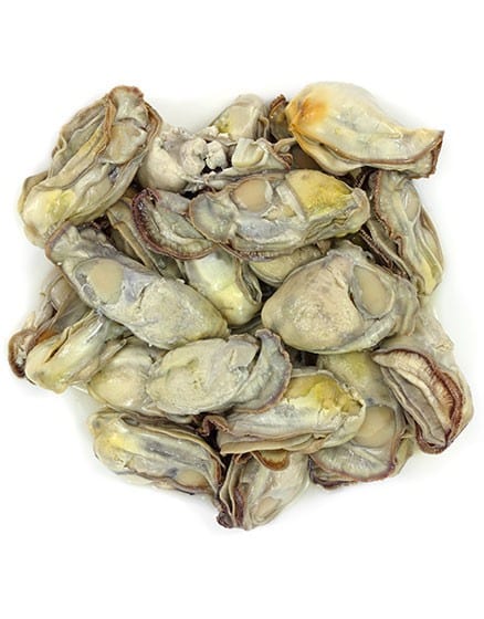 Oyster