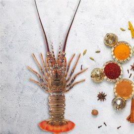 Whole Raw Rock Lobster