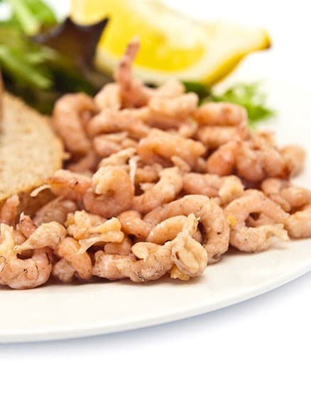 brown shrimps potted 48g