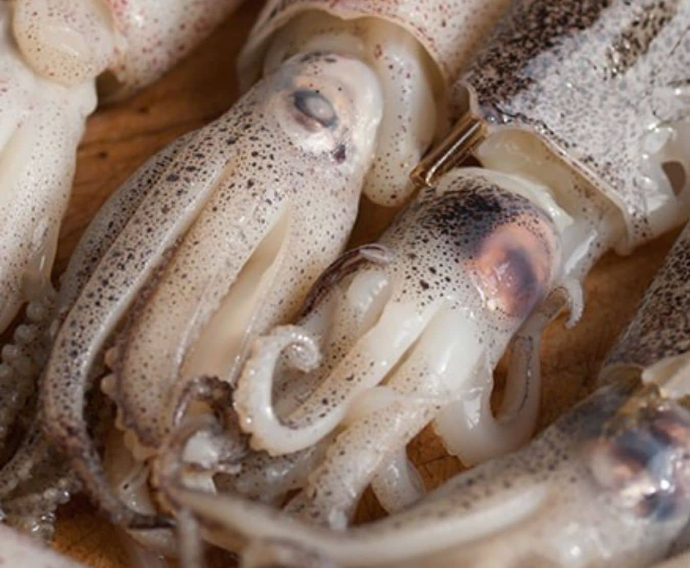 squid tubes 1kg (taiwanese)