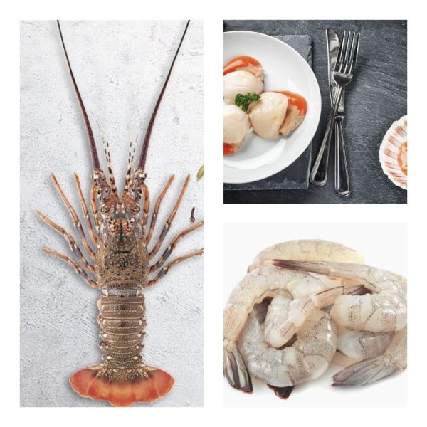shellfish bundle